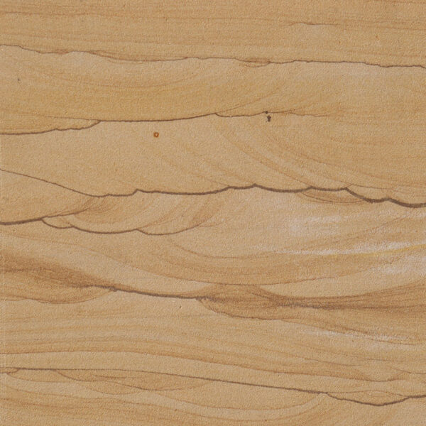 PIASKOWIEC ASIA DORATO